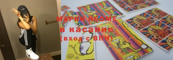прущие грибы Балабаново