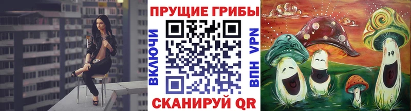 Псилоцибиновые грибы ЛСД Бирюч