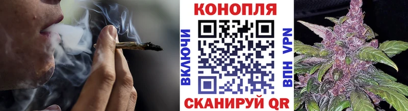 Бошки марихуана план  Бирюч 